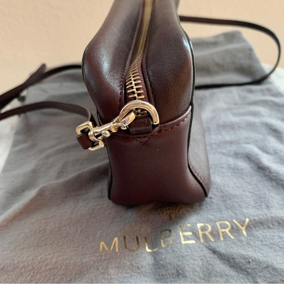 🦁 Mulberry x Cara Delevingne Mini Bag in Oxblood with Lion & Heart Rivets - Picture 9 of 17